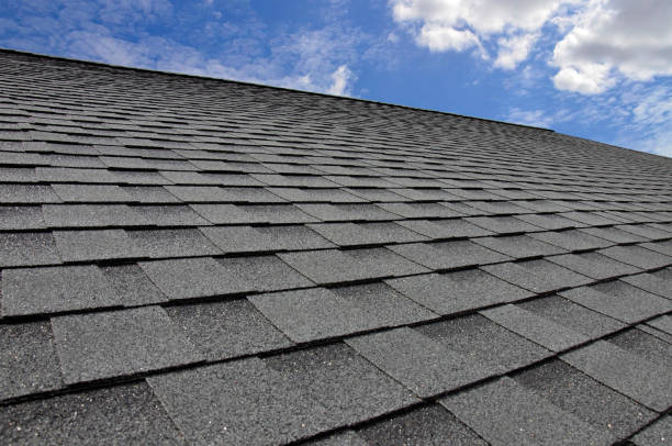 Professional Roofing Services in Leland, MS